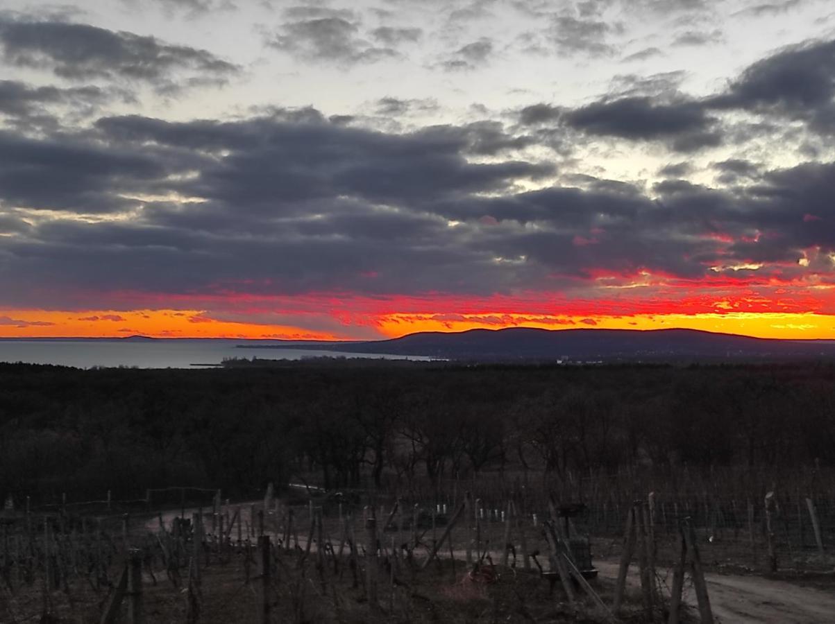 Napraszallas Vendeghaz Balatonakali Εξωτερικό φωτογραφία
