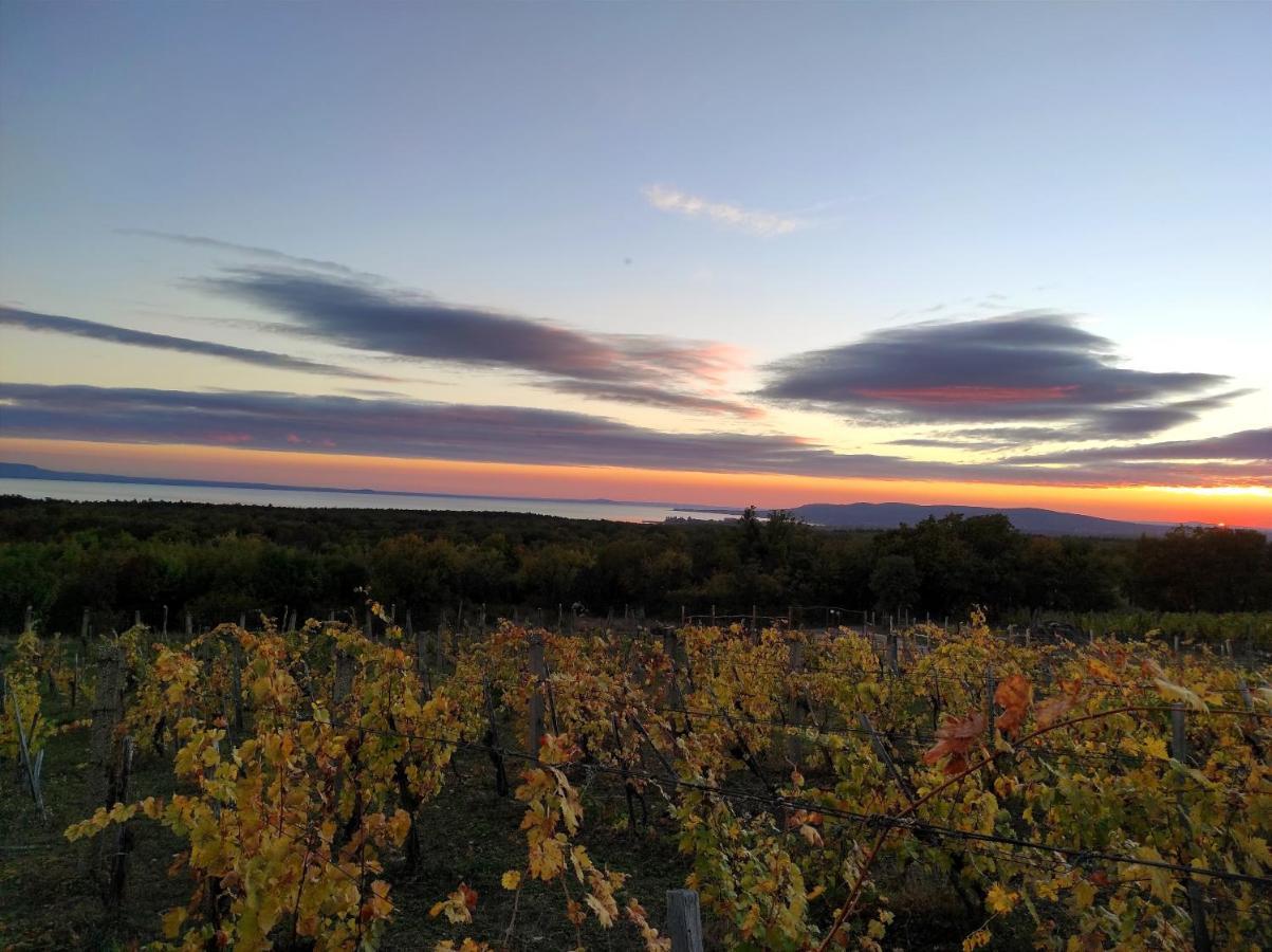 Napraszallas Vendeghaz Balatonakali Εξωτερικό φωτογραφία