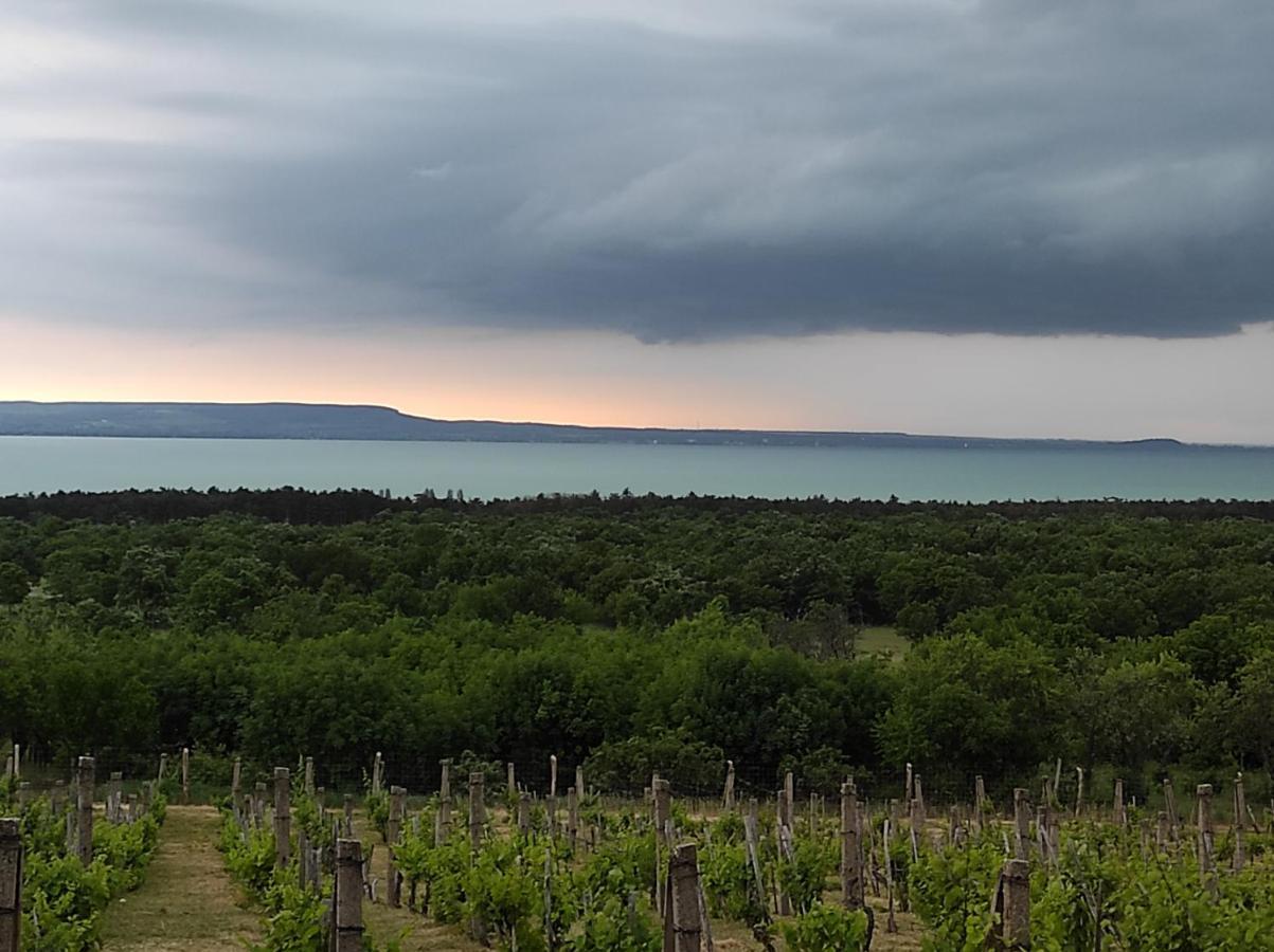 Napraszallas Vendeghaz Balatonakali Εξωτερικό φωτογραφία