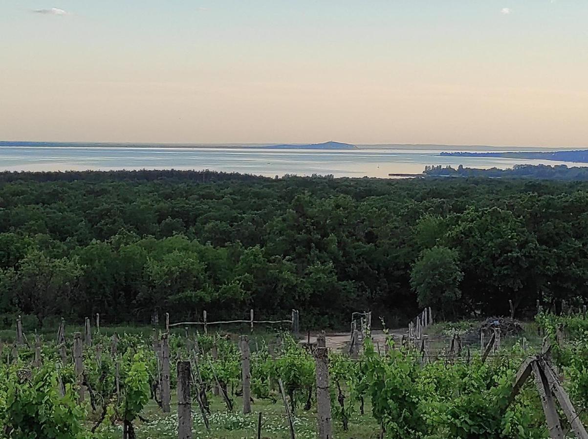 Napraszallas Vendeghaz Balatonakali Εξωτερικό φωτογραφία