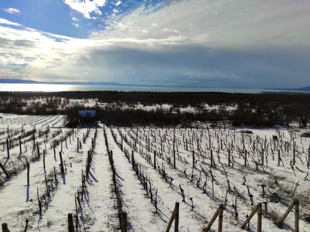 Napraszallas Vendeghaz Balatonakali Εξωτερικό φωτογραφία