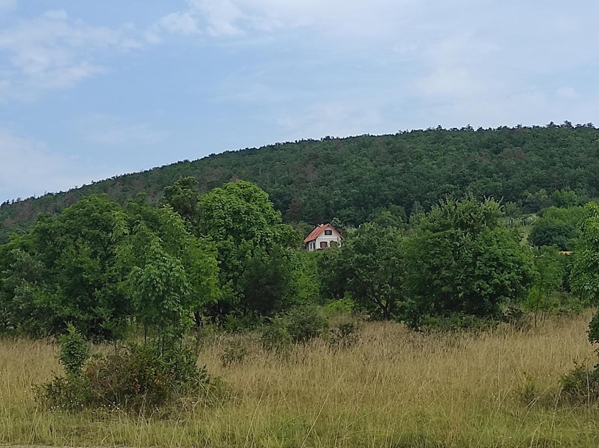 Napraszallas Vendeghaz Balatonakali Εξωτερικό φωτογραφία